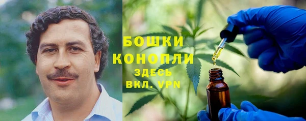 индика Баксан
