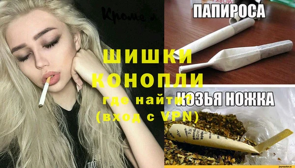 индика Баксан