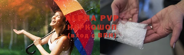 индика Баксан