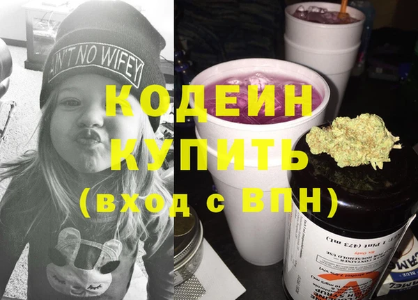 индика Баксан