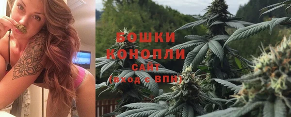 индика Баксан