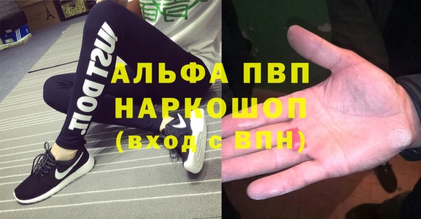 индика Баксан