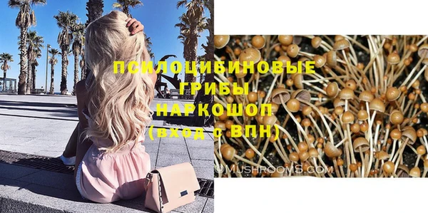 индика Баксан